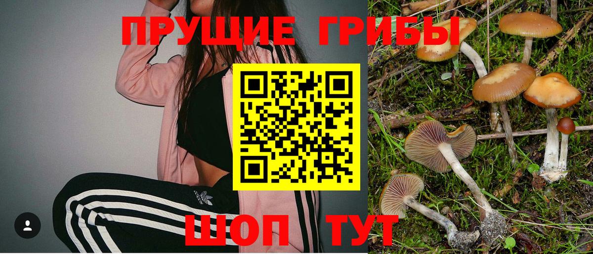 Галлюциногенные грибы Cubensis  Вход с VPN  Заводоуковск 