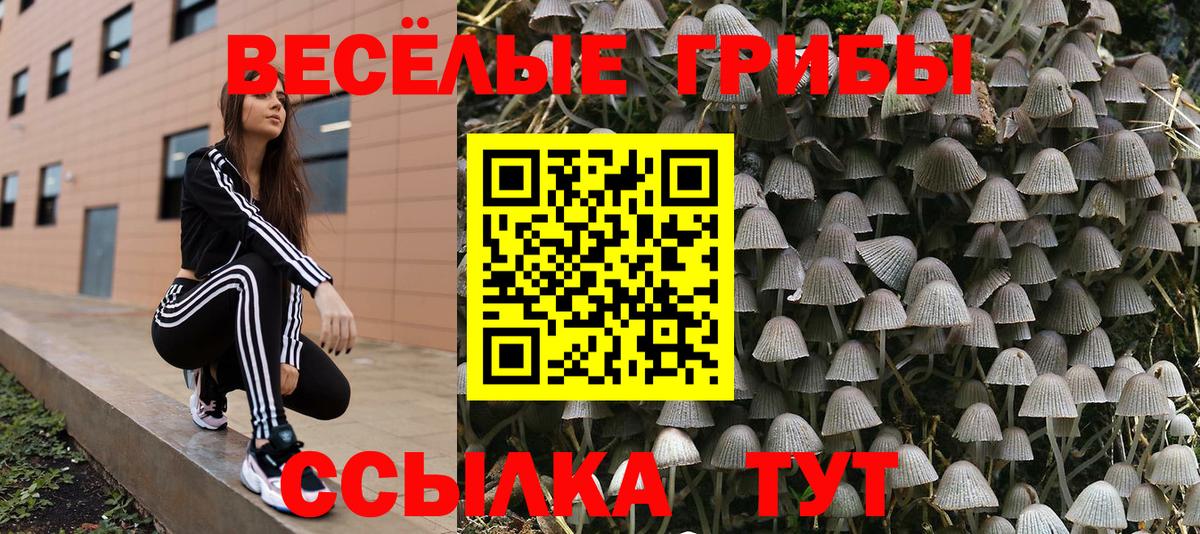 Бошки Шишки  Мефедрон  ГАШ  Вход с VPN  Где найти наркотики?  Заводоуковск  Мефедрон  