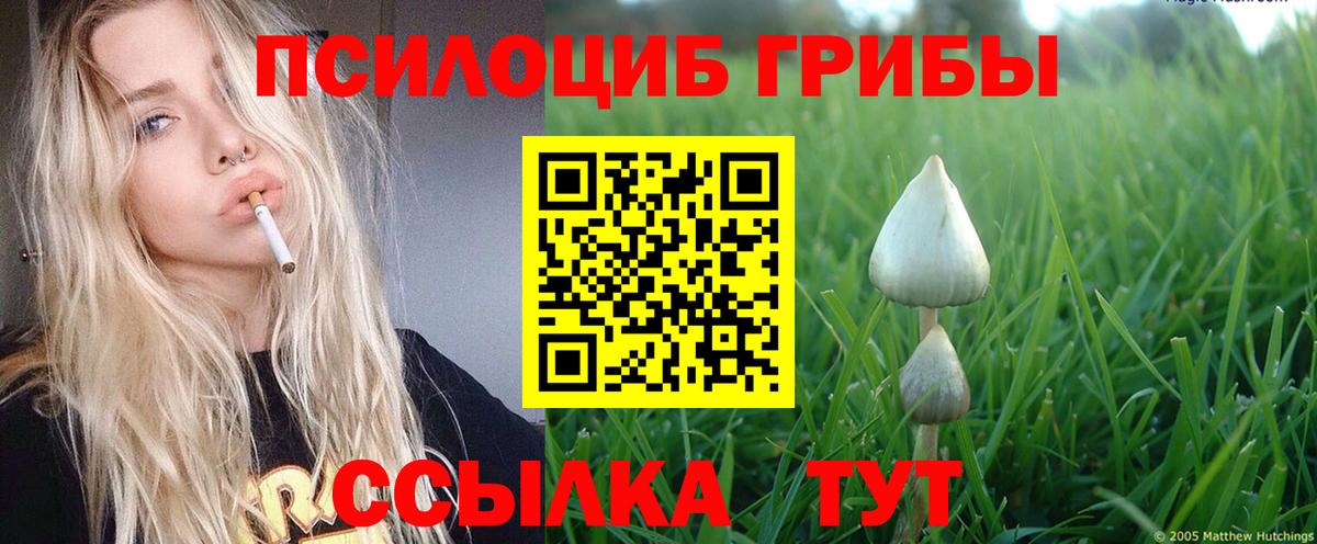 Псилоцибиновые грибы Magic Shrooms Заводоуковск